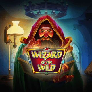Wizard of the Wild screenshot