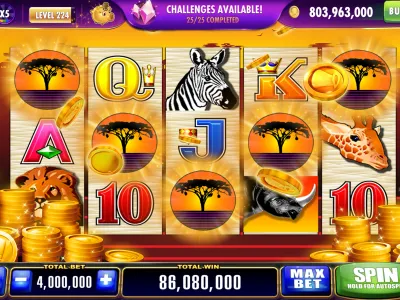 1win app interface